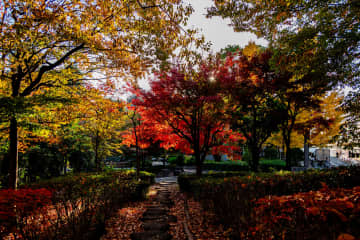 東京再発見・番外編「普段着の秋景色探し」荒川区役所・荒川公園