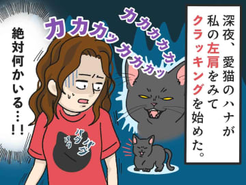 深夜、飼い猫が『私の左肩』に向かって威嚇 → 振り向いて、思わず絶叫した【左肩に見えたもの】