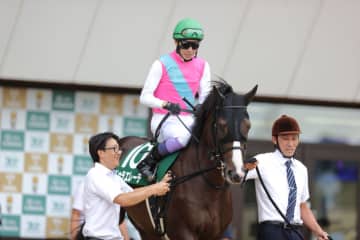 【鳴尾記念登録馬】二刀流ドゥラエレーデなど16頭