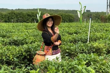 海南省白沙の有機栽培茶園の茶文化が外国人専門家を魅了―中国