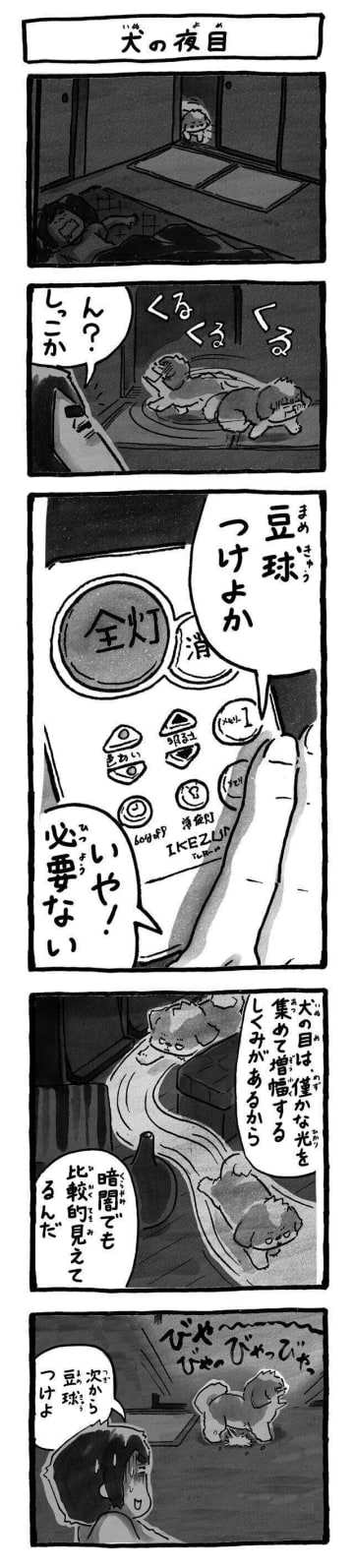 犬は暗闇でも見えるはず?横着した飼い主が見た「トイレシート外し」|連載「シーズー犬のてんぽ」第288回