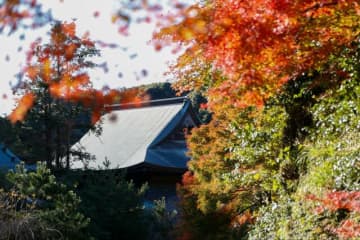 12月上旬、紅葉見頃の「鎌倉アルプス」で2時間ハイキング！　富士山展望＆別世界スポット「獅子舞」絶景レポ