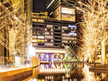 光に誘われて冬の街へ（大阪・神戸のイルミネーション2025）