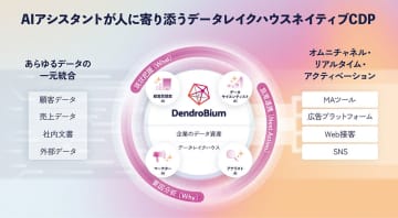 電通総研、データレイクハウスネイティブCDP構築支援サービス「DendroBium」を提供開始