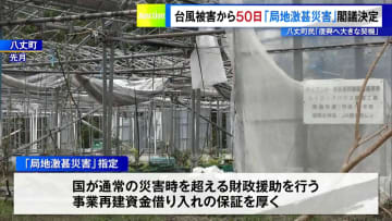 政府　台風被害の八丈町と青ケ島村に「局地激甚災害」指定