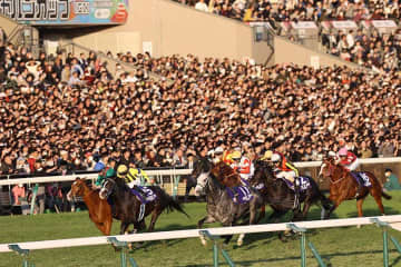 「咄嗟に日本語出せるのか…」　外国人Jから出た一言に競馬ファン驚き、危険でも「優しい」