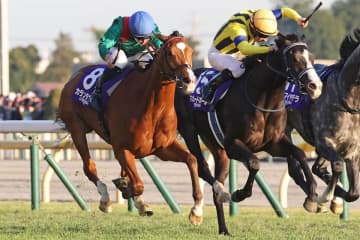 【ジャパンC】「どんなジョッキーカメラより熾烈」各馬のポジション争いにファン熱狂「バッチバチの競り合い」