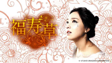 “マクチャン”韓国ドラマの王道「福寿草」“復讐ヒロイン”イ・ユリの代表作