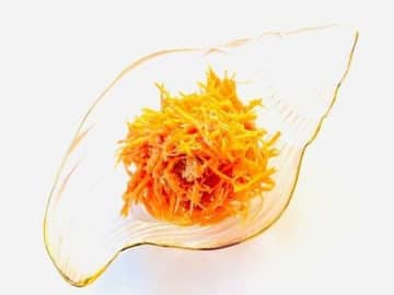 ツナと人参サラダ