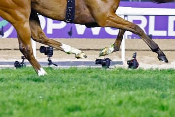 ジャパンCで海外記者が驚いた“レース以外の光景”　日本らしい瞬間訪れ…「特別な思い出に」