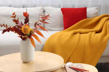 【中道あんさん流】60代で始めたひとり暮らし！買って良かった家電ベスト3と不要になった意外アイテム