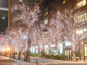 116人アンケートで判明！地元民が教える、冬の夜を特別に彩る“知る人ぞ知るイルミネーション”
