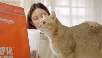 中国山東省でペットフード産業が急成長、生産量は全国一