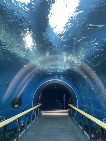 【参加無料＆事前予約不要】琵琶湖博物館で「昔の暮らし」を体験できるイベント開催決定！