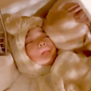 小さな男の子が『大型犬のハウスで寝てしまった』結果→邪魔かなと思いきや…愛を感じる『まさかの光景と結末』が188万再生「秘密基地みたい」