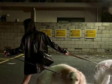 ボルゾイとの『散歩写真』に１７万いいね！　「ポーズをとったわけじゃないけど…」