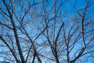 冬の天気予報は当たりやすいのに…気象予報士が頭を抱える“意外な悩み”