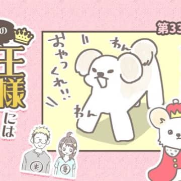 うちの王様にはどうしても抗えない【第332話】「ダイレクト肉球」