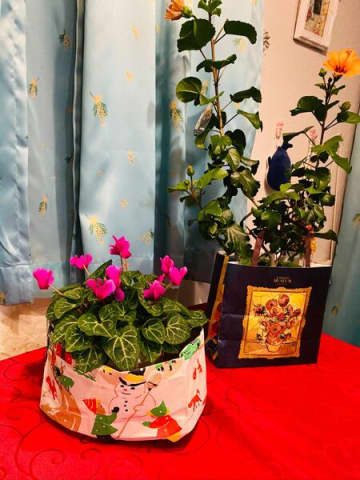 「紙袋で鉢カバー」植物の寒さ対策！保温にもなって素敵なインテリアに
