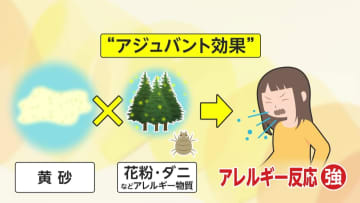 インフルエンザ重症化の恐れ「アジュバント効果」とは　“師走の黄砂”でアレルギーや炎症増強の可能性　対策は?医師「通常のマスクでもある程度効果」