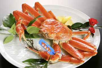 【島根県・隠岐諸島「松葉ガニ漁」解禁】鮮度と美しさが別格！その理由は伝統の篭漁にあった