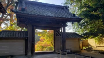 晩秋の鎌倉エリアで紅葉散歩。地理や防災に注目して、いつもと違った視点で歩いてみよう