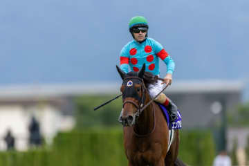 香港国際競走4レースで馬券発売…日本勢エンブロイダリーら8頭が出走予定