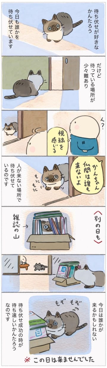隠れているつもり…でも丸見え！バレバレ待ち伏せが可愛すぎる【連載】ねこ連れ草 346話め