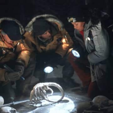 ダン・トラクテンバーグ監督、再び『エイリアンVS.プレデター』映画の可能性を示唆