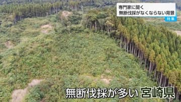 「激怒しかありません」宮崎で相次ぐ山林無断伐採の実態 ー被害者の悲痛な叫び・伐採業者は「盗伐ではなく誤伐」と主張ー