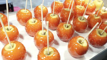 小泉孝太郎「今まで人生で食べたりんご飴と比べものにならない！」“りんご飴の神様”が作る飴がパリパリ！五感で楽しめる絶品りんご飴に驚き