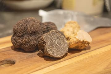 浅草の豚肉専門店の【豚とトリュフの特別コース】年に一度の特別コースを2026年12月より提供開始──希少ブランド豚と季節トリュフの贅沢コース　豚とトリュフは最良のパートナー？？──その歴史的背景から生まれた特別コースを浅草で
