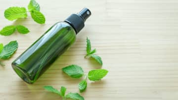 ハッカ油は乾燥対策や掃除にも活躍！製造メーカーの社員が実践する“虫よけ”だけにとどまらない活用法