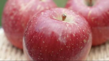 スーパーでの選び方から、究極のりんご2選、1本3万円の超高級りんごジュースまで！神が教える、“シン情報”とは