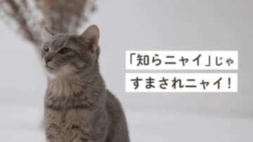 九都県市が「廃プラスチックの分別料」について啓発動画を制作