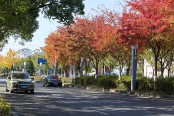 中国・武夷山市、道路整備で冬の街に彩り