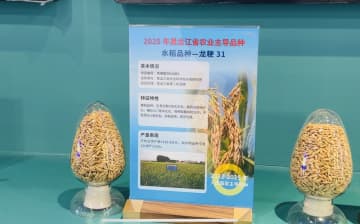 中国最大の食糧生産地、黒竜江省　種苗業革新で増産の基盤強化