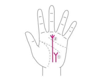 線が分かれた時期に幸福なことが訪れることを示す『運命線の先端の分かれ』とは！？【手相の教科書】