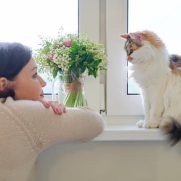 猫は『外見』で人を見分けられる?判別するために使っている3つの能力とは