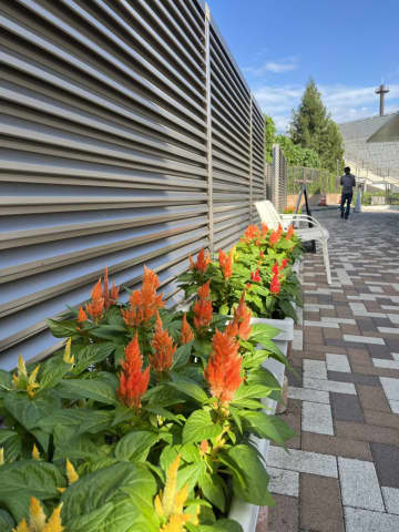 青森の山奥で焚火と宴を満喫　フェニックスライズファン感謝祭レポート