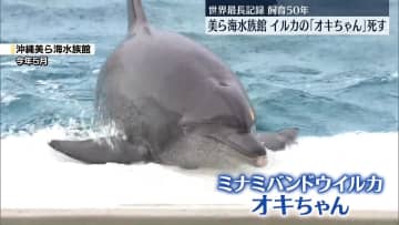 「沖縄美ら海水族館」のミナミバンドウイルカ「オキちゃん」死ぬ　世界最長の飼育50年