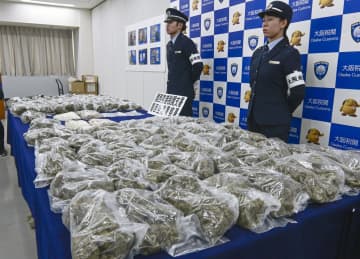 乾燥大麻31キロ密輸疑いで逮捕　関空で過去最多、ベトナムの2人