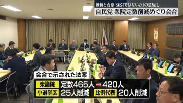 自民党、衆院議員定数削減めぐり議論