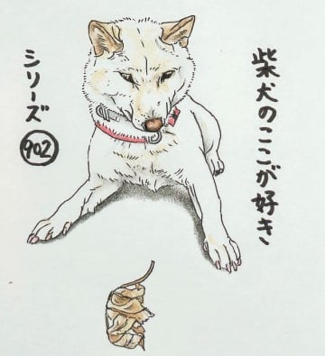 柴犬あるある、散歩中に“怪しいやつ”に出会いがちなとこ｜連載「ここ掘れここ柴」vol.301