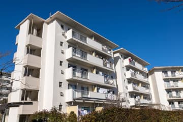 今年離婚してシングルマザーになりました。月収15万だと生活していけず、都営住宅に入居を希望しています。しかし入居基準の「年収」はやはり昨年のものが参照されるのでしょうか？