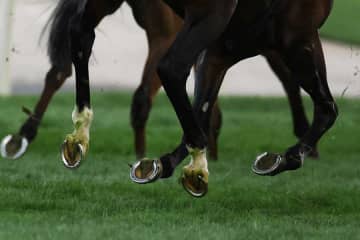 東京競馬場に降臨した大河女優　背中ざっくり優雅ドレスで観戦「元々馬が好きなので」