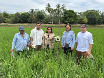 ペルーの水稲生産における病害管理プロジェクトに「e-kakashi」が採用　～気候変動下の安定生産に貢献～