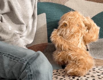 ＜12月3日(水)から7日間限定＞和歌山県橋本市の地場産品「高野口パイル」が今年もあべのハルカスにやってきた！　～人気商品が多数登場、限定カラーやイベントノベルティも～