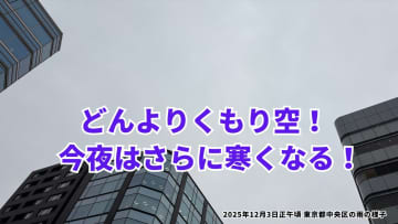 【都心の気温】今日はどんよりくもり空！今夜以降は気温グッと下がり体調管理に注意