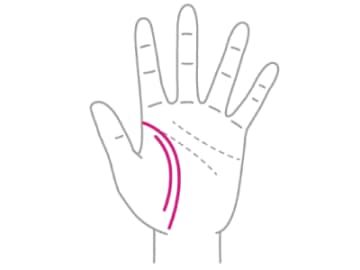 ありがたい二重生命線がある人ってどんな人！？【手相の教科書】